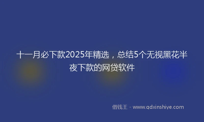 十一月必下款2025年精选，总结5个无视黑花半夜下款的网贷软件