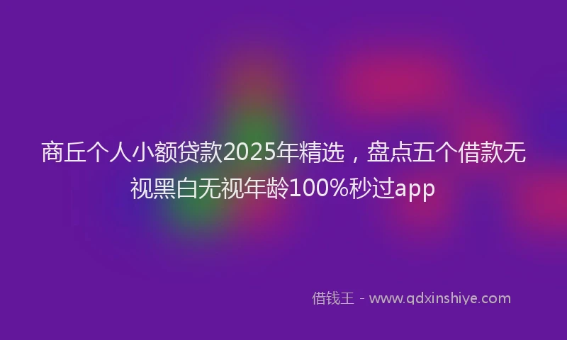 商丘个人小额贷款2025年精选，盘点五个借款无视黑白无视年龄100%秒过app
