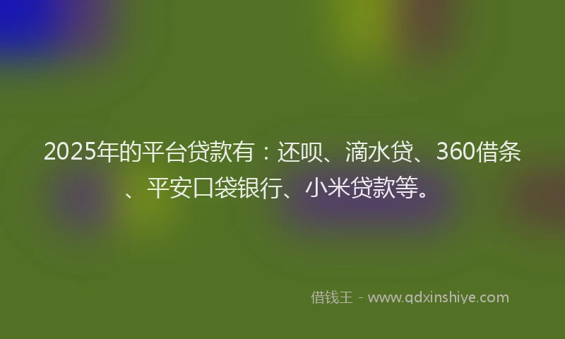 2025年的平台贷款有：还呗、滴水贷、360借条、平安口袋银行、小米贷款等。