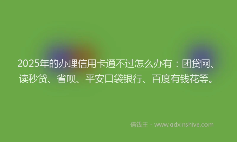 2025年的办理信用卡通不过怎么办有：团贷网、读秒贷、省呗、平安口袋银行、百度有钱花等。