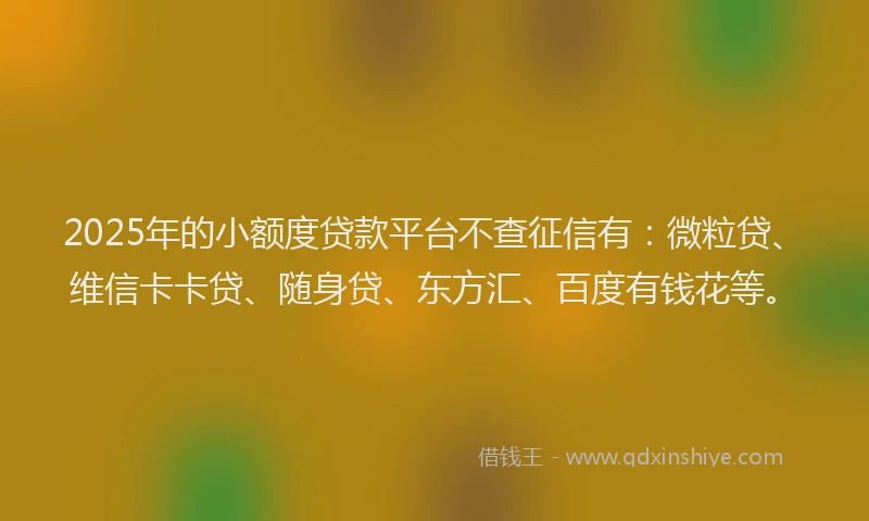2025年的小额度贷款平台不查征信有：微粒贷、维信卡卡贷、随身贷、东方汇、百度有钱花等。
