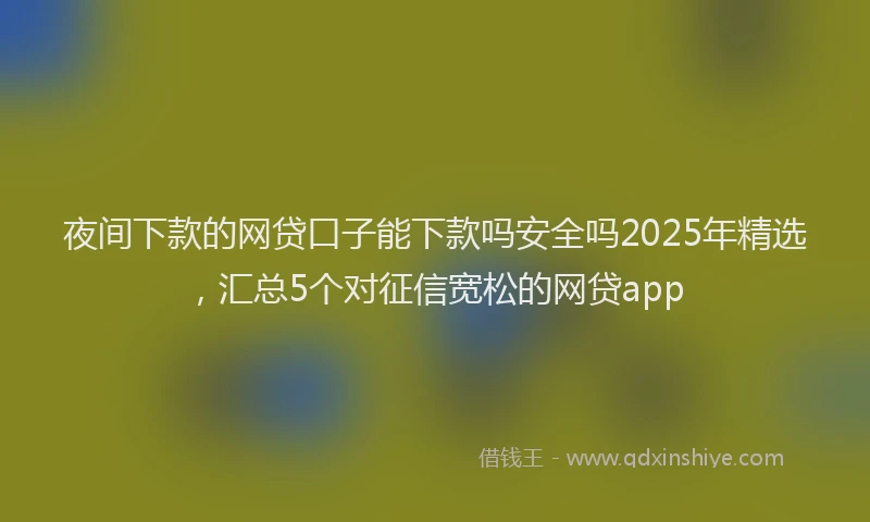 夜间下款的网贷口子能下款吗安全吗2025年精选，汇总5个对征信宽松的网贷app