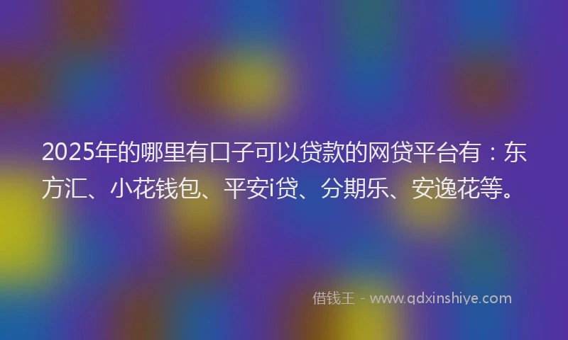 2025年的哪里有口子可以贷款的网贷平台有：东方汇、小花钱包、平安i贷、分期乐、安逸花等。