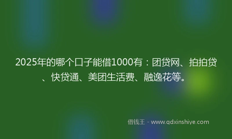 2025年的哪个口子能借1000有：团贷网、拍拍贷、快贷通、美团生活费、融逸花等。