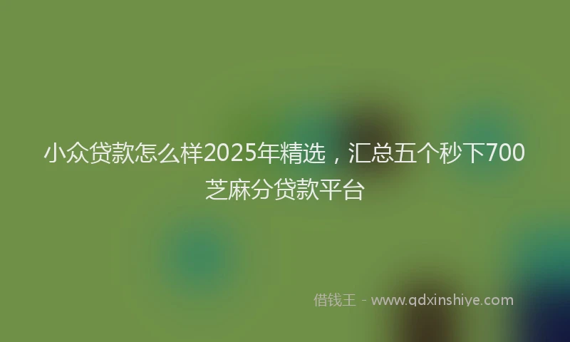 小众贷款怎么样2025年精选，汇总五个秒下700芝麻分贷款平台