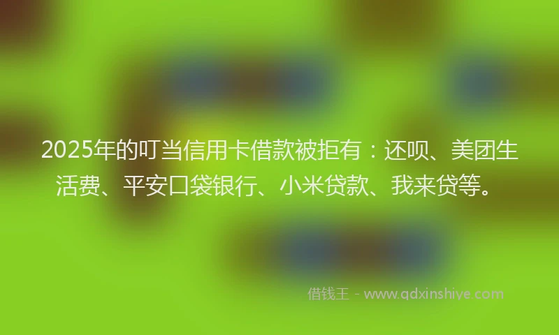 2025年的叮当信用卡借款被拒有：还呗、美团生活费、平安口袋银行、小米贷款、我来贷等。