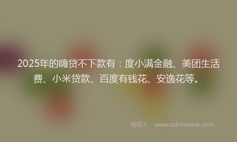 2025年的嗨贷不下款有：度小满金融、美团生活费、小米贷款、百度有钱花、安逸花等。