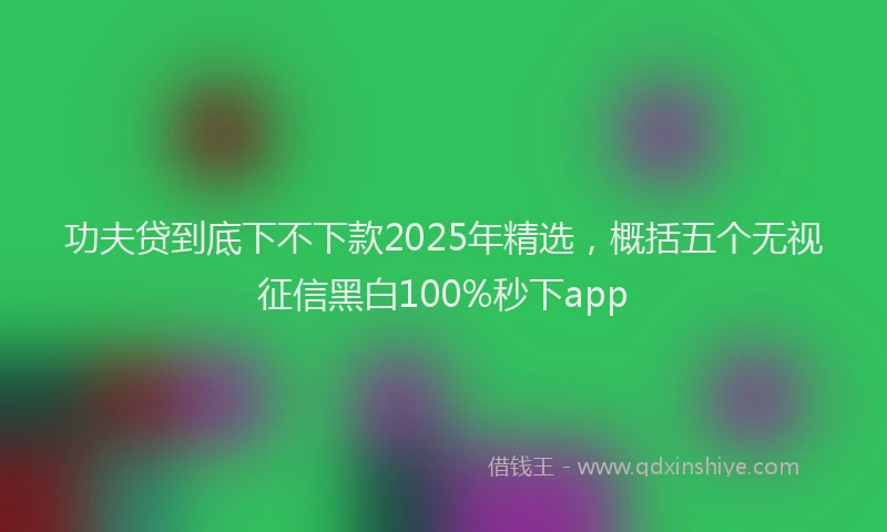 功夫贷到底下不下款2025年精选，概括五个无视征信黑白100%秒下app