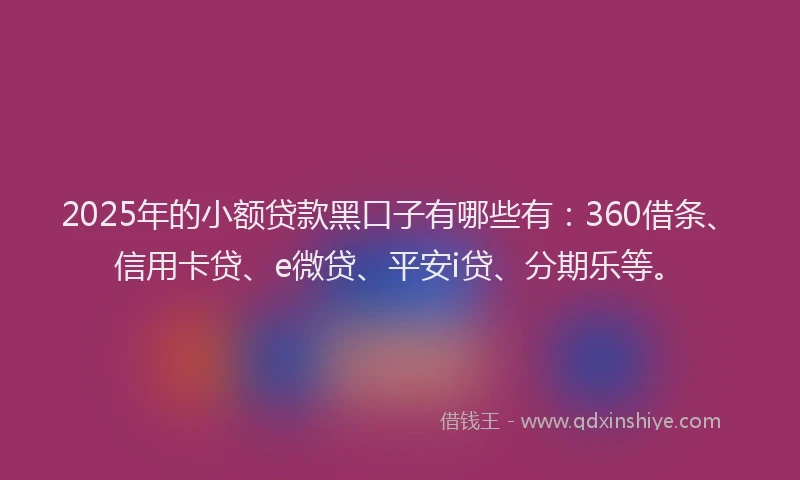 2025年的小额贷款黑口子有哪些有：360借条、信用卡贷、e微贷、平安i贷、分期乐等。