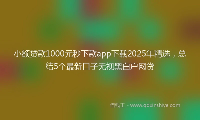 小额贷款1000元秒下款app下载2025年精选，总结5个最新口子无视黑白户网贷