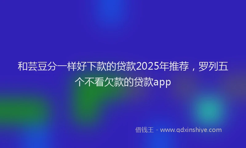和芸豆分一样好下款的贷款2025年推荐，罗列五个不看欠款的贷款app