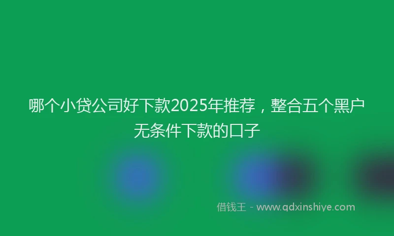 哪个小贷公司好下款2025年推荐，整合五个黑户无条件下款的口子