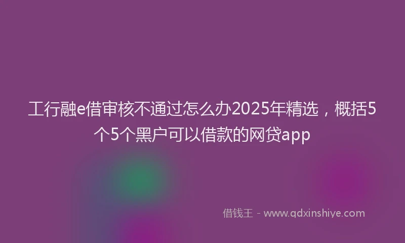 工行融e借审核不通过怎么办2025年精选，概括5个5个黑户可以借款的网贷app
