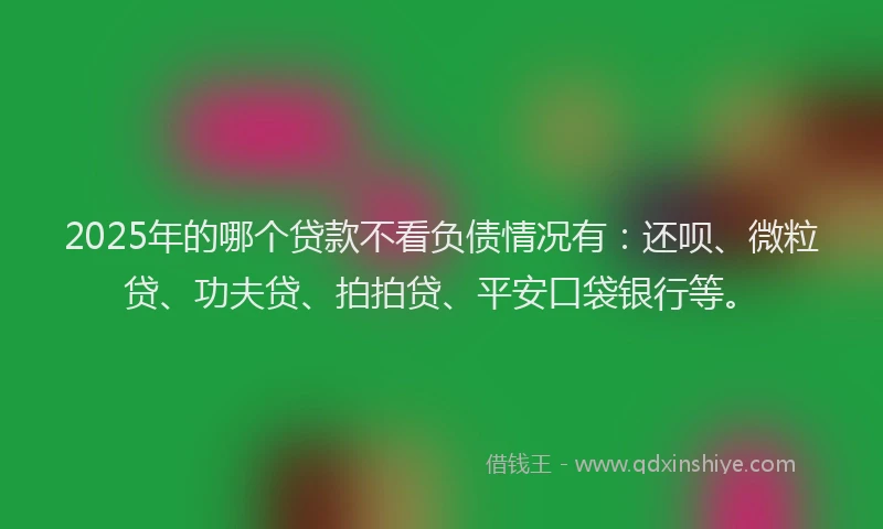 2025年的哪个贷款不看负债情况有：还呗、微粒贷、功夫贷、拍拍贷、平安口袋银行等。