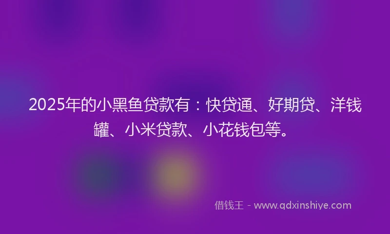 2025年的小黑鱼贷款有：快贷通、好期贷、洋钱罐、小米贷款、小花钱包等。