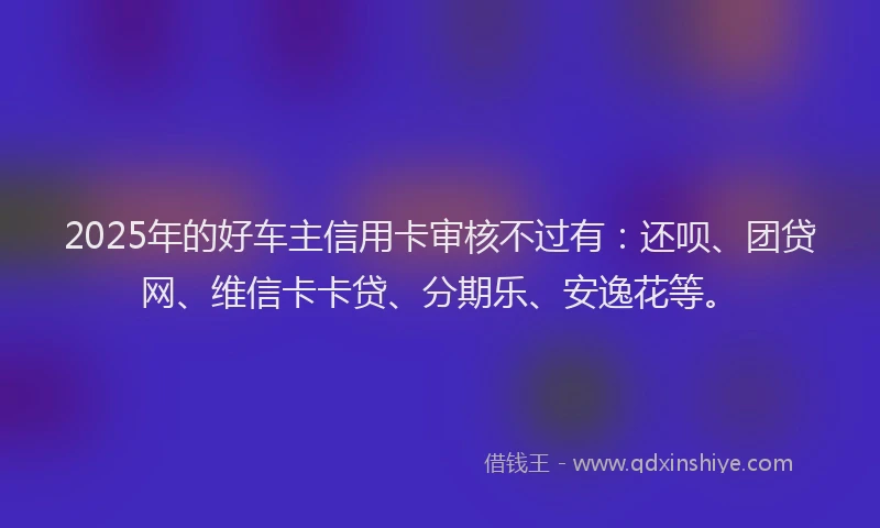 2025年的好车主信用卡审核不过有：还呗、团贷网、维信卡卡贷、分期乐、安逸花等。
