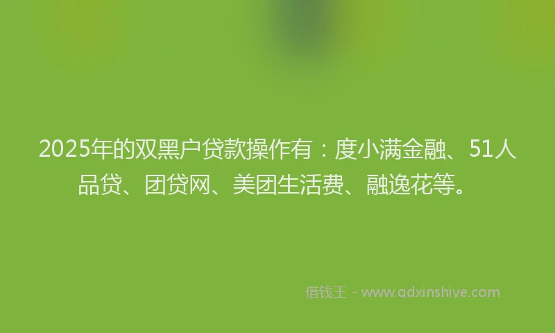2025年的双黑户贷款操作有：度小满金融、51人品贷、团贷网、美团生活费、融逸花等。