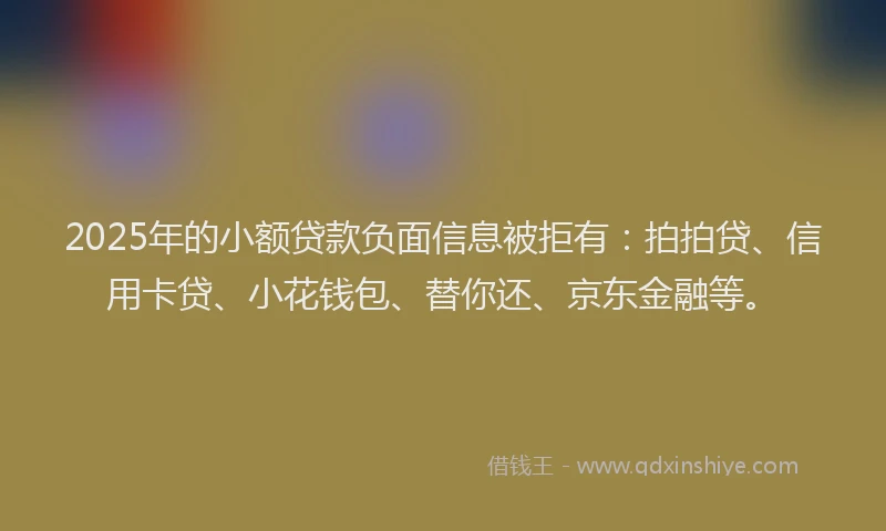 2025年的小额贷款负面信息被拒有：拍拍贷、信用卡贷、小花钱包、替你还、京东金融等。