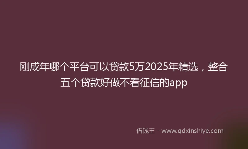 刚成年哪个平台可以贷款5万2025年精选，整合五个贷款好做不看征信的app