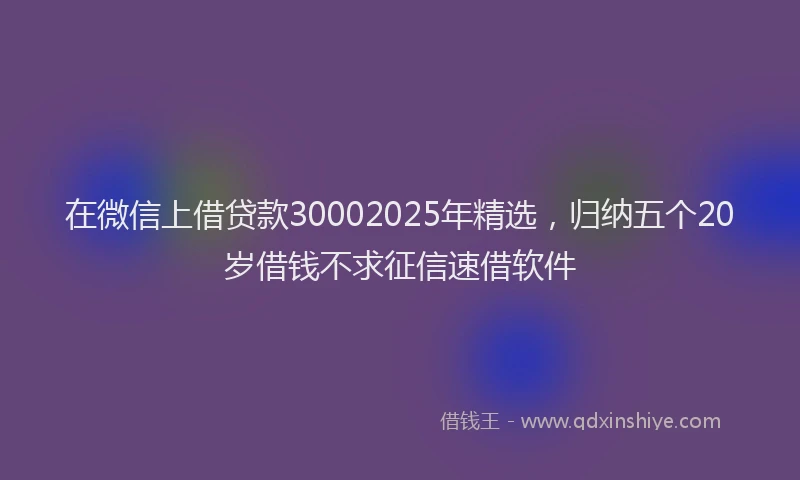 在微信上借贷款30002025年精选，归纳五个20岁借钱不求征信速借软件