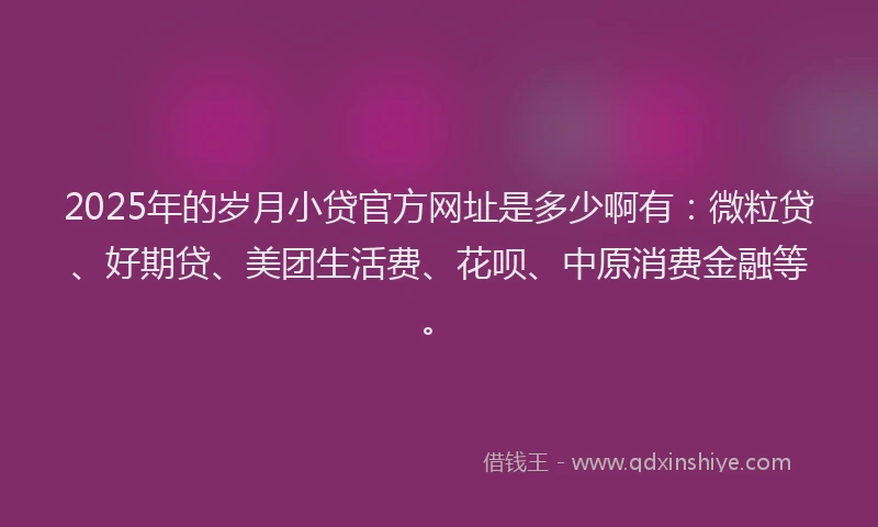 2025年的岁月小贷官方网址是多少啊有：微粒贷、好期贷、美团生活费、花呗、中原消费金融等。