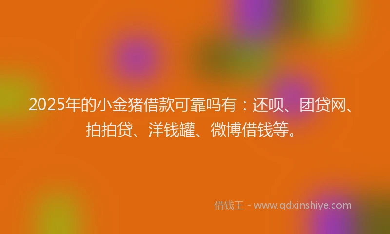 2025年的小金猪借款可靠吗有：还呗、团贷网、拍拍贷、洋钱罐、微博借钱等。