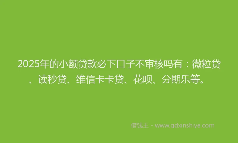 2025年的小额贷款必下口子不审核吗有：微粒贷、读秒贷、维信卡卡贷、花呗、分期乐等。