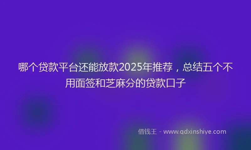 哪个贷款平台还能放款2025年推荐，总结五个不用面签和芝麻分的贷款口子