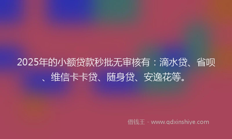 2025年的小额贷款秒批无审核有：滴水贷、省呗、维信卡卡贷、随身贷、安逸花等。