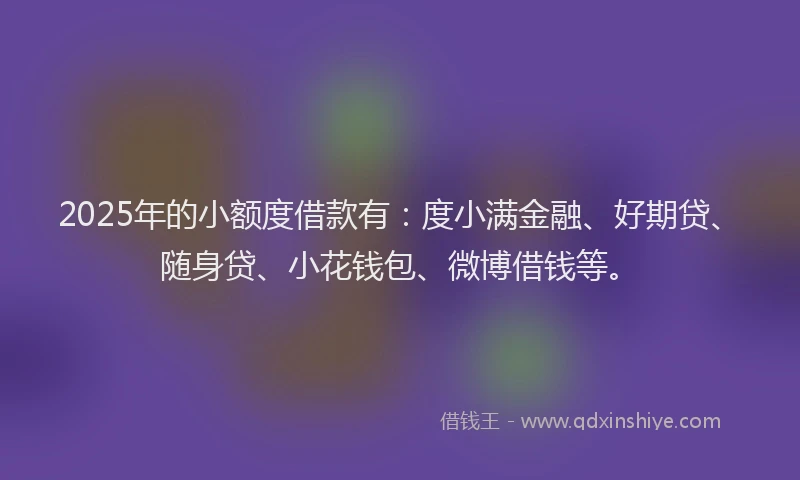 2025年的小额度借款有：度小满金融、好期贷、随身贷、小花钱包、微博借钱等。