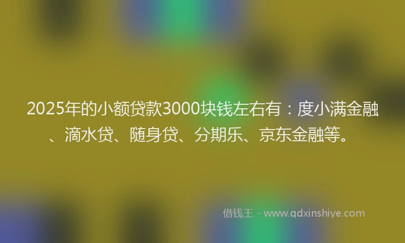 2025年的小额贷款3000块钱左右有：度小满金融、滴水贷、随身贷、分期乐、京东金融等。