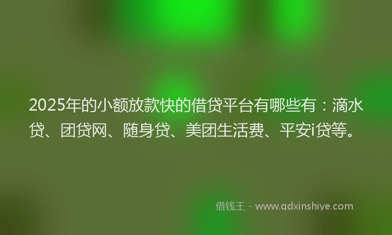 2025年的小额放款快的借贷平台有哪些有：滴水贷、团贷网、随身贷、美团生活费、平安i贷等。