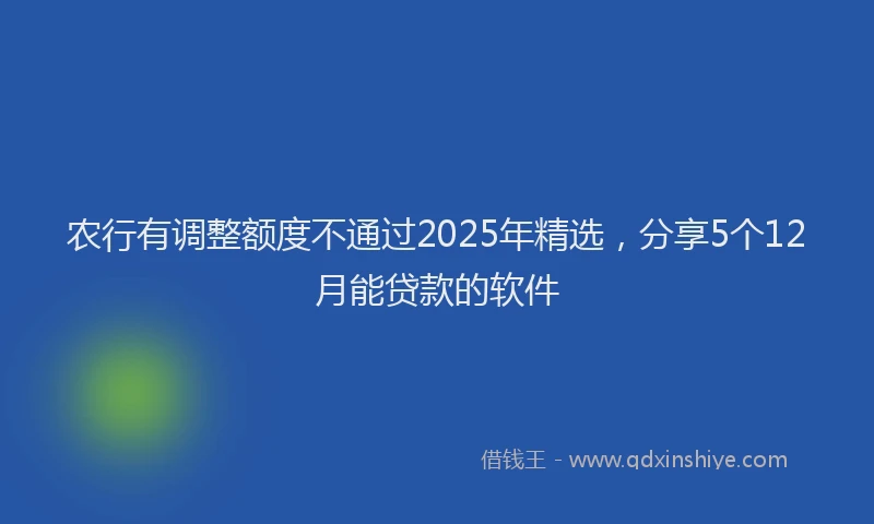 农行有调整额度不通过2025年精选，分享5个12月能贷款的软件