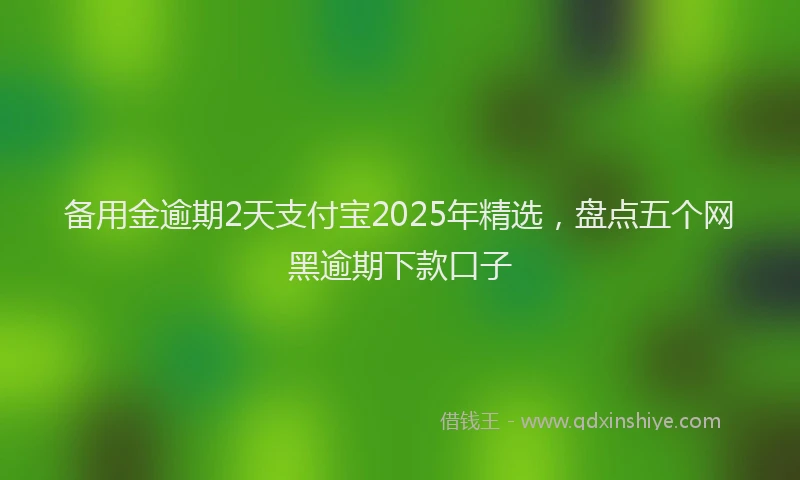 备用金逾期2天支付宝2025年精选，盘点五个网黑逾期下款口子