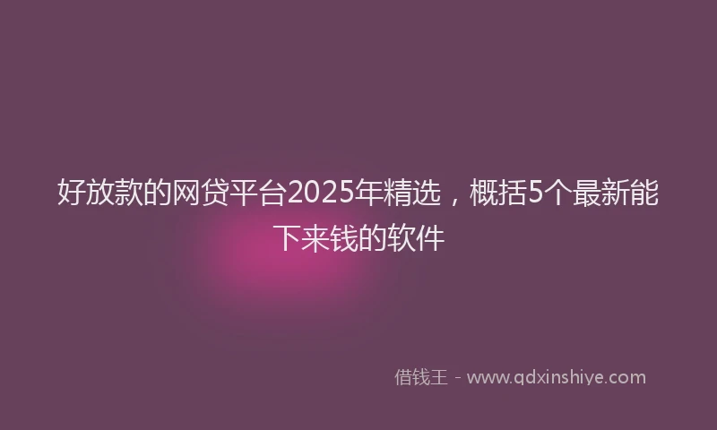 好放款的网贷平台2025年精选，概括5个最新能下来钱的软件