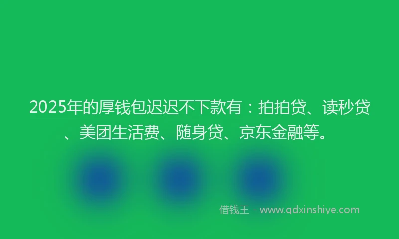2025年的厚钱包迟迟不下款有：拍拍贷、读秒贷、美团生活费、随身贷、京东金融等。