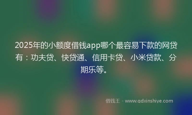 2025年的小额度借钱app哪个最容易下款的网贷有：功夫贷、快贷通、信用卡贷、小米贷款、分期乐等。