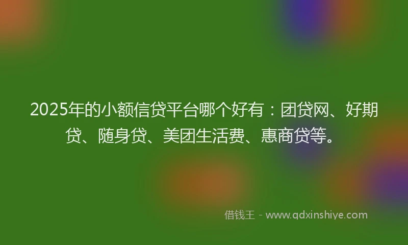 2025年的小额信贷平台哪个好有：团贷网、好期贷、随身贷、美团生活费、惠商贷等。
