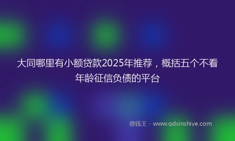 大同哪里有小额贷款2025年推荐，概括五个不看年龄征信负债的平台