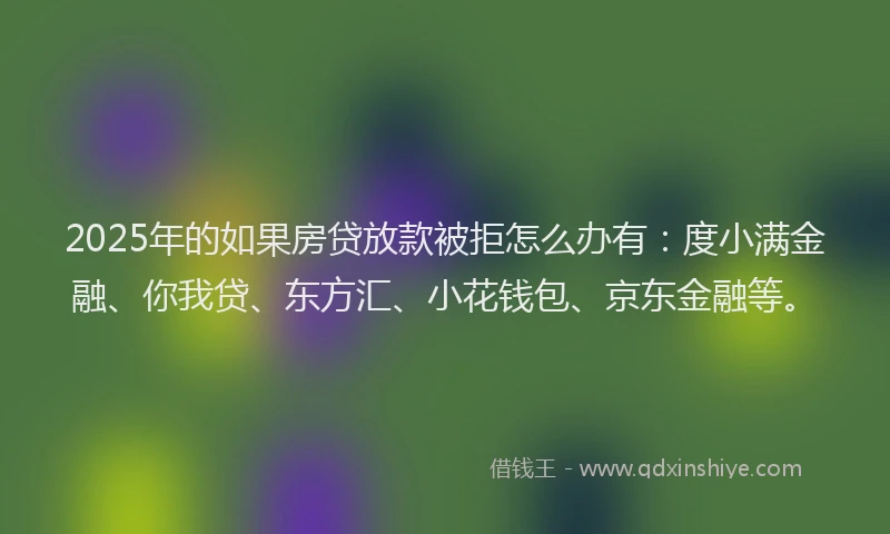 2025年的如果房贷放款被拒怎么办有：度小满金融、你我贷、东方汇、小花钱包、京东金融等。