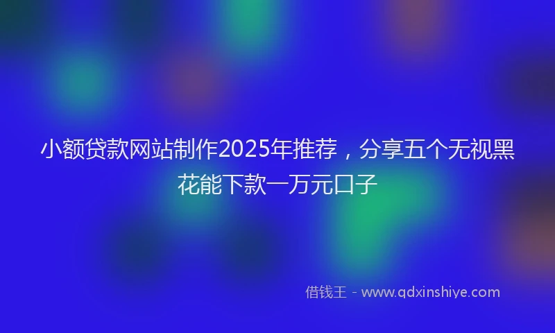 小额贷款网站制作2025年推荐，分享五个无视黑花能下款一万元口子