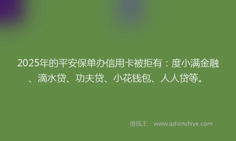 2025年的平安保单办信用卡被拒有：度小满金融、滴水贷、功夫贷、小花钱包、人人贷等。