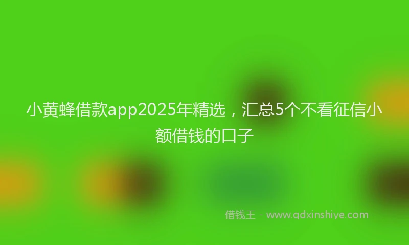 小黄蜂借款app2025年精选，汇总5个不看征信小额借钱的口子