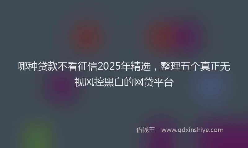 哪种贷款不看征信2025年精选，整理五个真正无视风控黑白的网贷平台