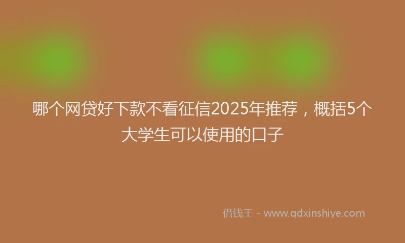 哪个网贷好下款不看征信2025年推荐，概括5个大学生可以使用的口子
