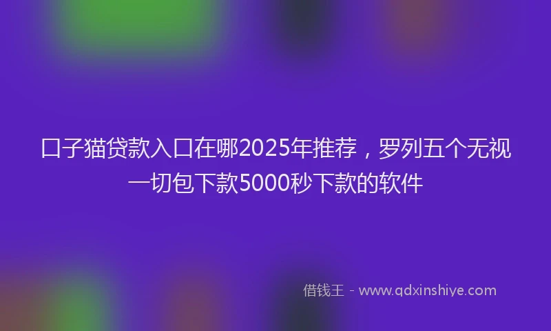 口子猫贷款入口在哪2025年推荐，罗列五个无视一切包下款5000秒下款的软件