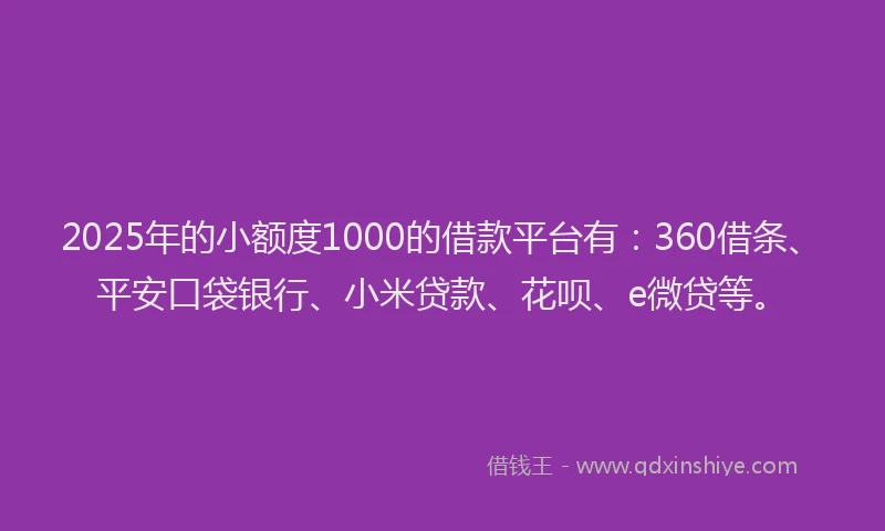 2025年的小额度1000的借款平台有：360借条、平安口袋银行、小米贷款、花呗、e微贷等。