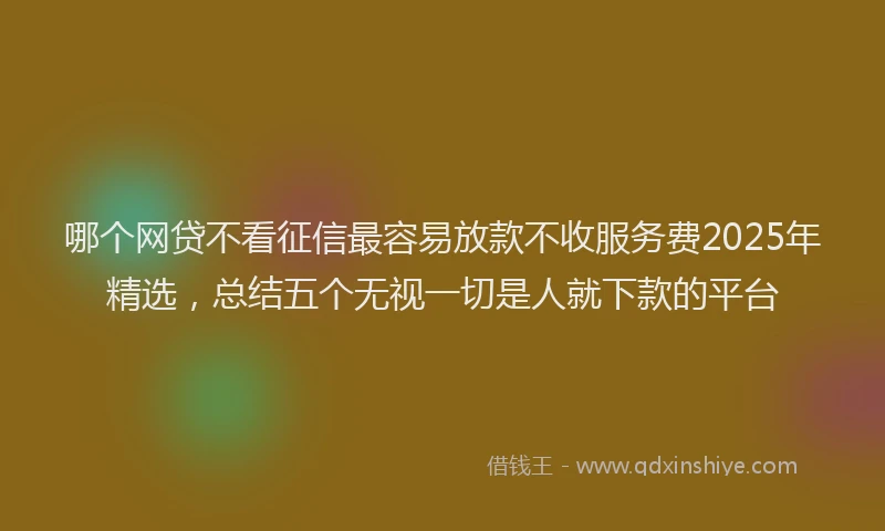 哪个网贷不看征信最容易放款不收服务费2025年精选，总结五个无视一切是人就下款的平台