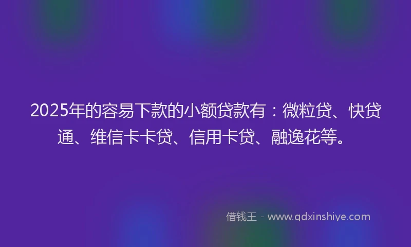 2025年的容易下款的小额贷款有：微粒贷、快贷通、维信卡卡贷、信用卡贷、融逸花等。
