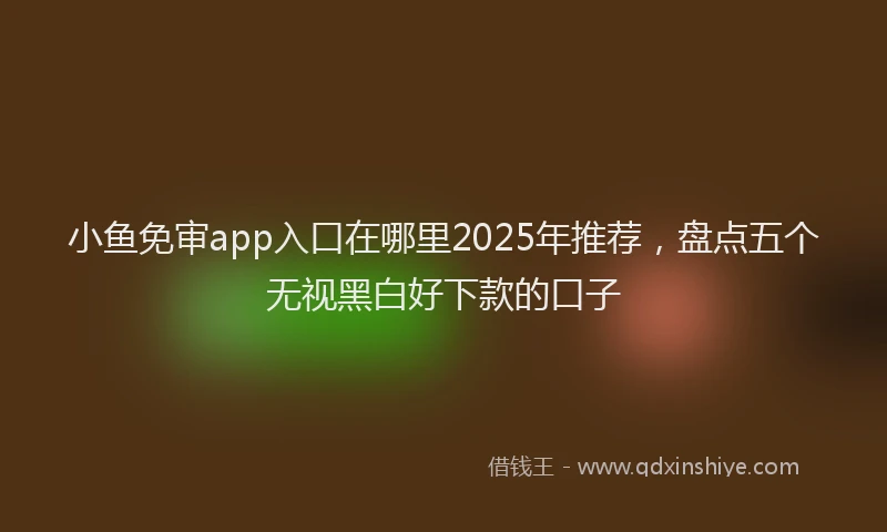 小鱼免审app入口在哪里2025年推荐，盘点五个无视黑白好下款的口子